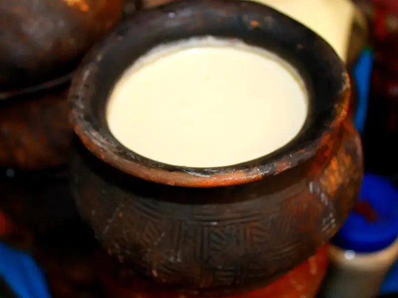Set curd in a traditional earthen pot.