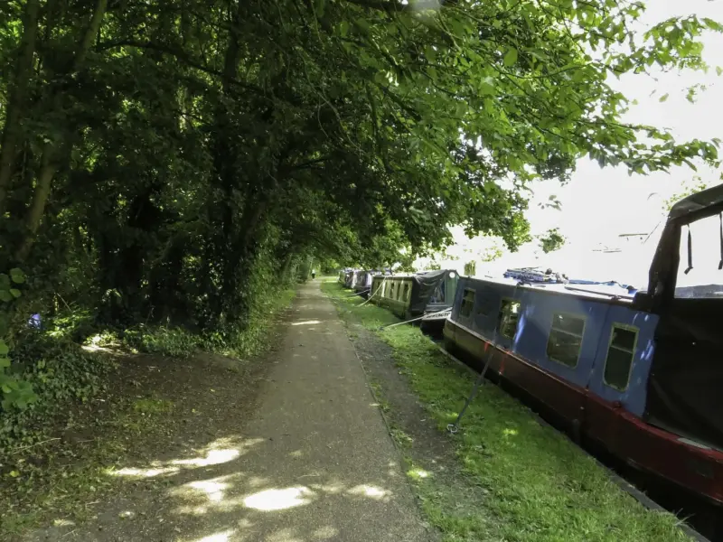 Narrowboats moored along a canal towpath lined with trees.