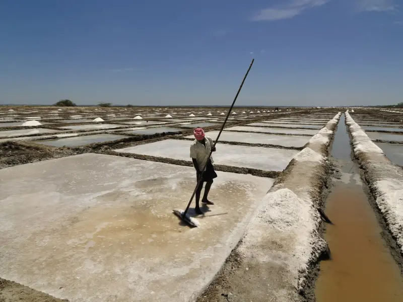 Shallow salt pans by the sea, with white salt crystallised at the edges.
