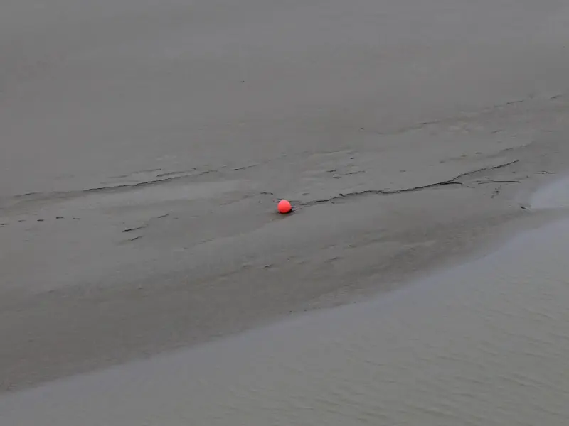 Wide tidal mudflats exposed at low tide around Mont Saint-Michel.
